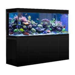 Aquarium Tanks And Stands For Sale